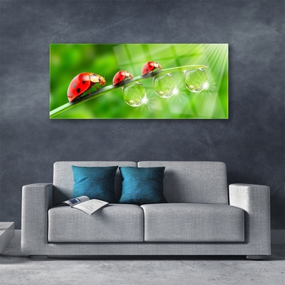 Plexiglas® Wall Art Grass ladybug drops of dew floral green black red