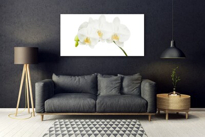 Plexiglas® Wall Art Flowers floral white