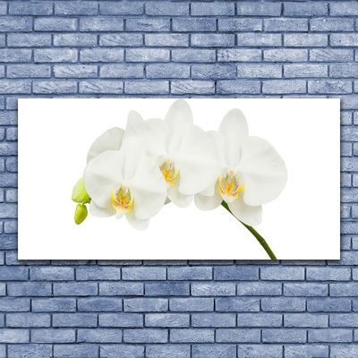 Plexiglas® Wall Art Flowers floral white