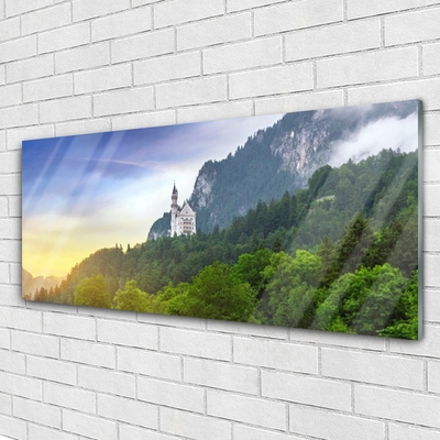 Plexiglas® Wall Art Forest mountains landscape green grey