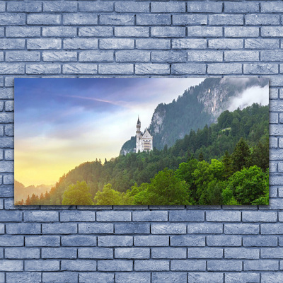 Plexiglas® Wall Art Forest mountains landscape green grey