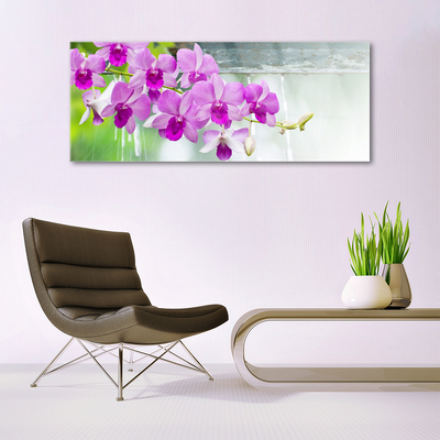 Plexiglas® Wall Art Flowers floral pink