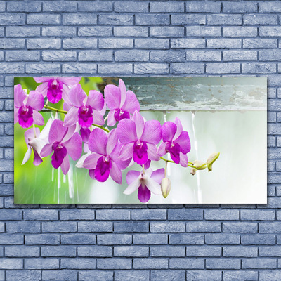 Plexiglas® Wall Art Flowers floral pink