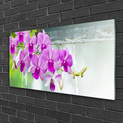 Plexiglas® Wall Art Flowers floral pink