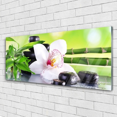 Plexiglas® Wall Art Bamboo stalks flower stones floral green white black