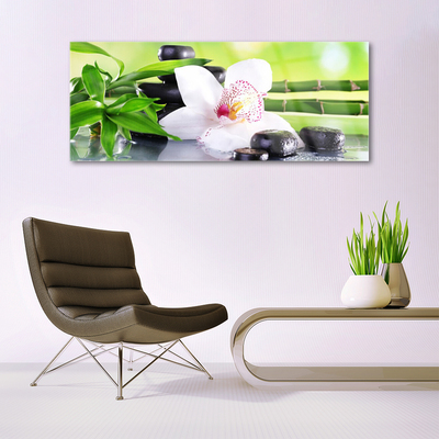 Plexiglas® Wall Art Bamboo stalks flower stones floral green white black