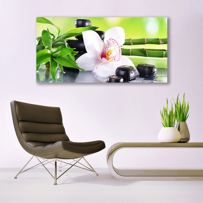 Plexiglas® Wall Art Bamboo stalks flower stones floral green white black