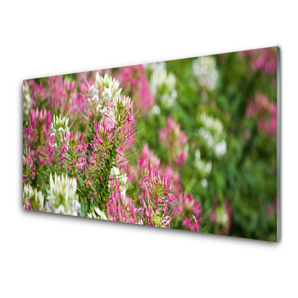Plexiglas® Wall Art Flowers floral pink white green