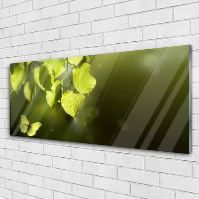 Plexiglas® Wall Art Butterfly leaves nature green