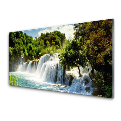 Plexiglas® Wall Art Waterfall trees nature brown green white blue