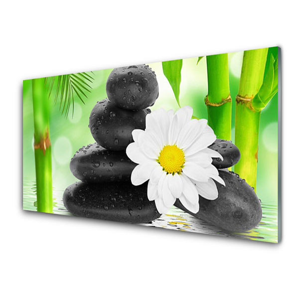 Plexiglas® Wall Art Bamboo tube flower stones art green white black