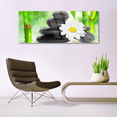 Plexiglas® Wall Art Bamboo tube flower stones art green white black