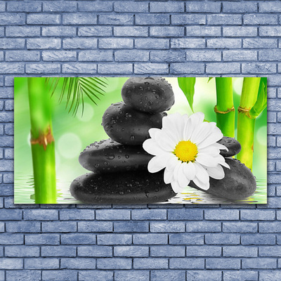 Plexiglas® Wall Art Bamboo tube flower stones art green white black