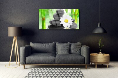 Plexiglas® Wall Art Bamboo tube flower stones art green white black