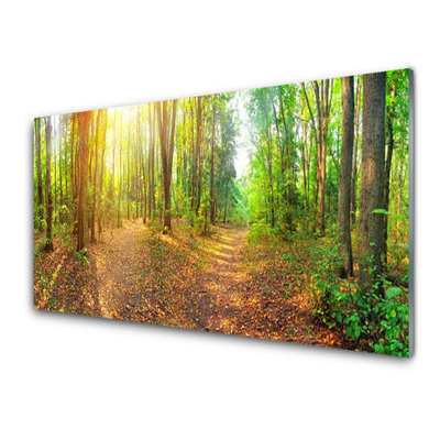 Plexiglas® Wall Art Forest nature brown green