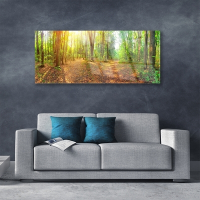 Plexiglas® Wall Art Forest nature brown green