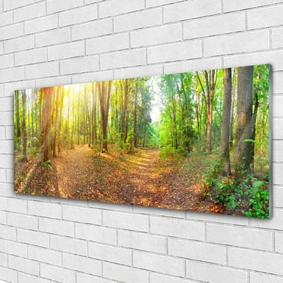 Plexiglas® Wall Art Forest nature brown green