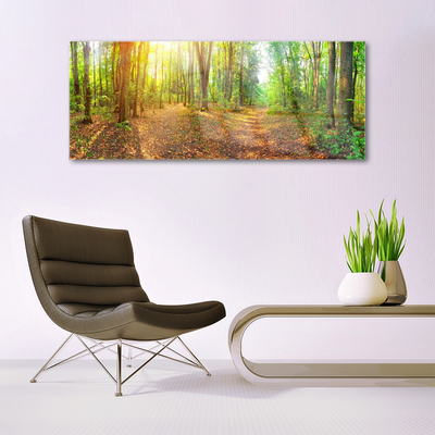 Plexiglas® Wall Art Forest nature brown green