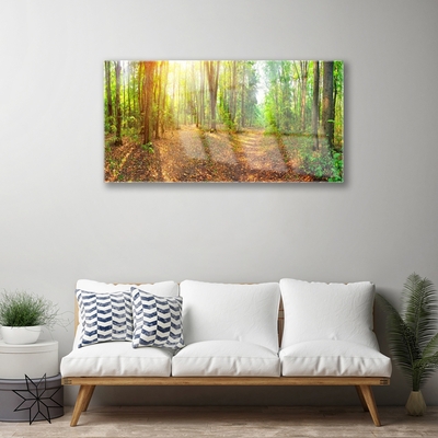 Plexiglas® Wall Art Forest nature brown green