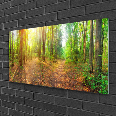 Plexiglas® Wall Art Forest nature brown green