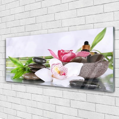 Plexiglas® Wall Art Bamboo stalks flower stones floral green white grey