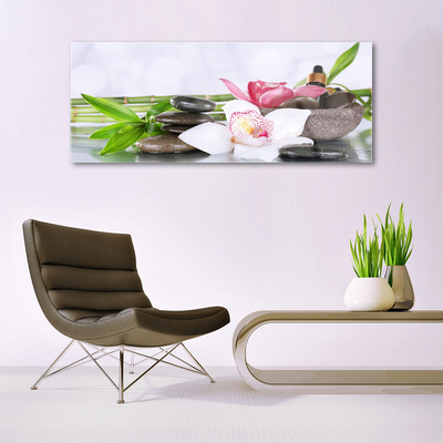 Plexiglas® Wall Art Bamboo stalks flower stones floral green white grey