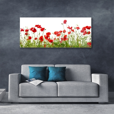 Plexiglas® Wall Art Meadow poppies nature green red