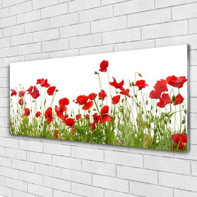 Plexiglas® Wall Art Meadow poppies nature green red