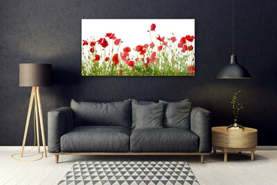 Plexiglas® Wall Art Meadow poppies nature green red