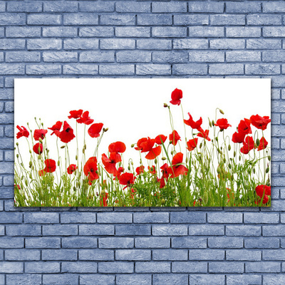 Plexiglas® Wall Art Meadow poppies nature green red