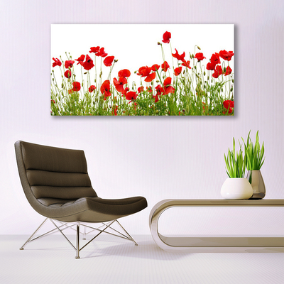 Plexiglas® Wall Art Meadow poppies nature green red