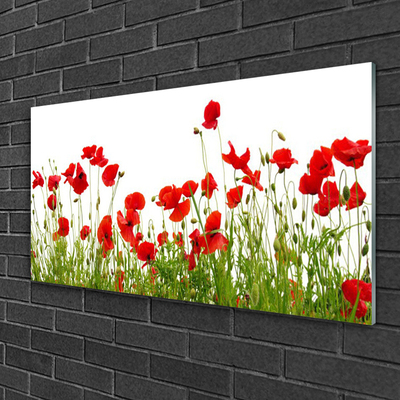 Plexiglas® Wall Art Meadow poppies nature green red