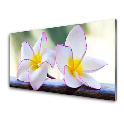 Plexiglas® Wall Art Flowers floral green pink