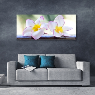 Plexiglas® Wall Art Flowers floral green pink