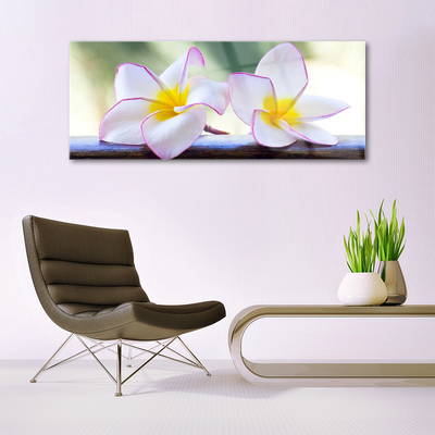 Plexiglas® Wall Art Flowers floral green pink