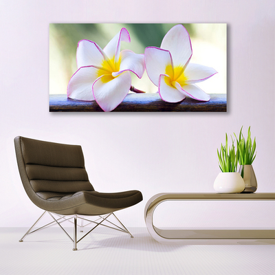 Plexiglas® Wall Art Flowers floral green pink