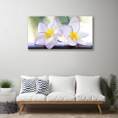 Plexiglas® Wall Art Flowers floral green pink