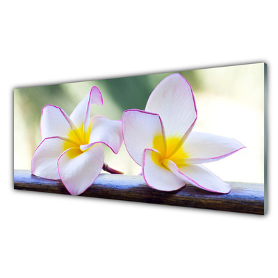 Plexiglas® Wall Art Flowers floral green pink