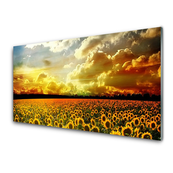 Plexiglas® Wall Art Meadow sunflowers floral yellow brown
