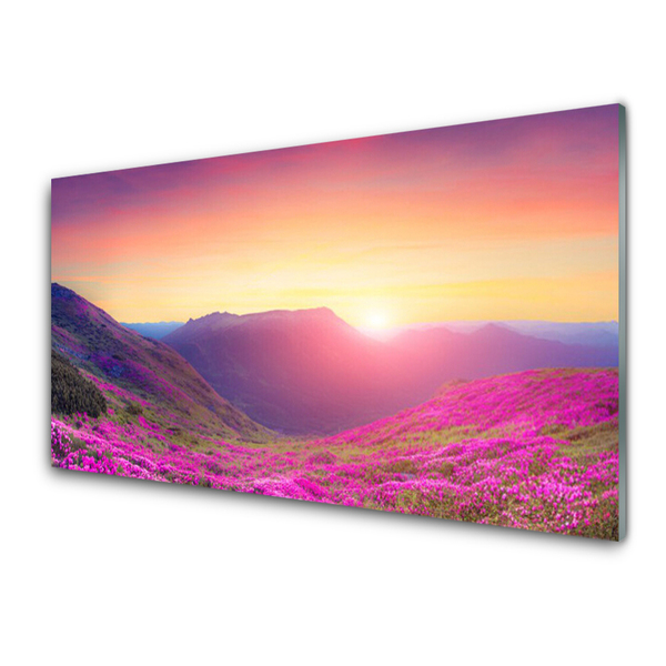 Plexiglas® Wall Art Sun mountain meadow nature yellow blue green pink
