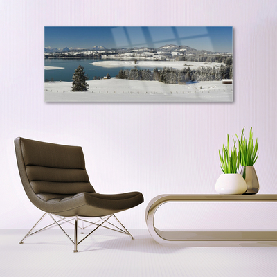 Plexiglas® Wall Art Snow lake forest landscape blue white green