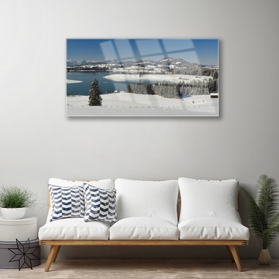 Plexiglas® Wall Art Snow lake forest landscape blue white green