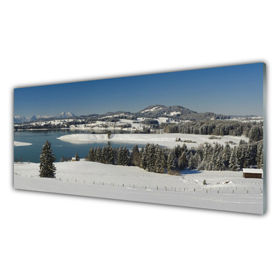 Plexiglas® Wall Art Snow lake forest landscape blue white green