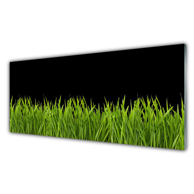 Plexiglas® Wall Art Grass nature green