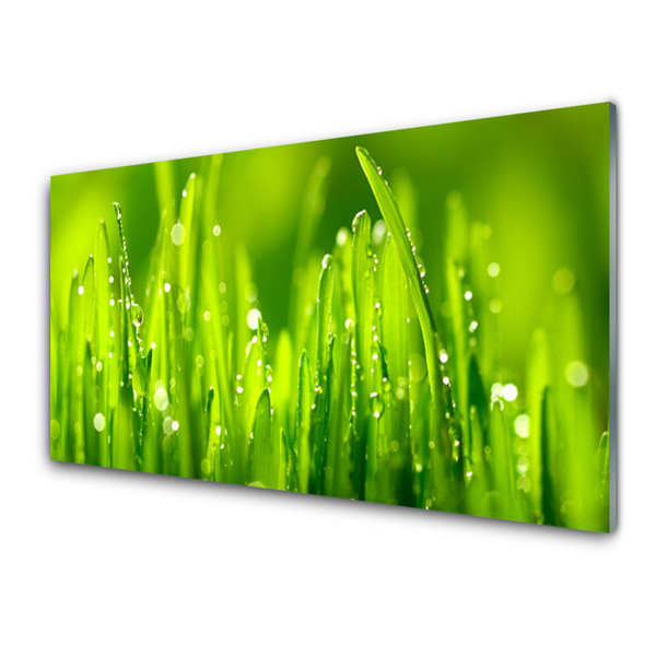 Plexiglas® Wall Art Weed nature green