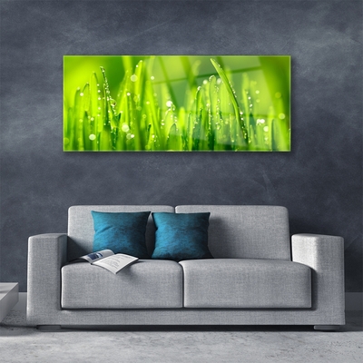 Plexiglas® Wall Art Weed nature green