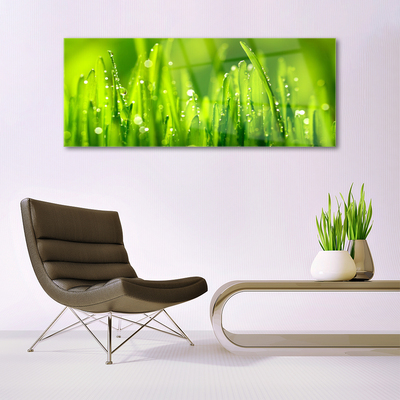 Plexiglas® Wall Art Weed nature green