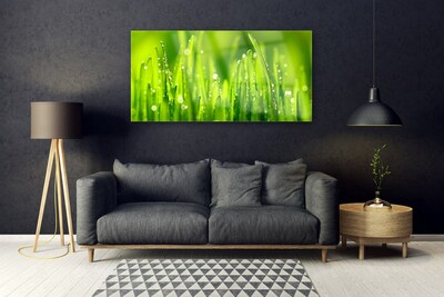 Plexiglas® Wall Art Weed nature green