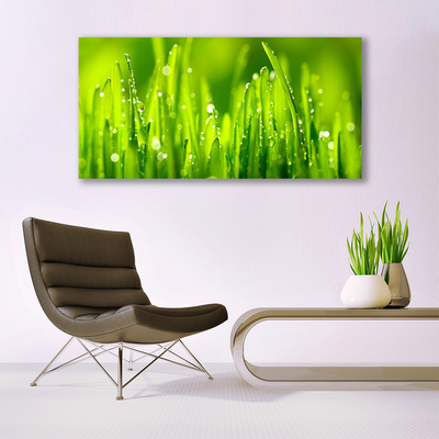 Plexiglas® Wall Art Weed nature green