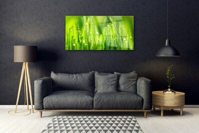 Plexiglas® Wall Art Weed nature green